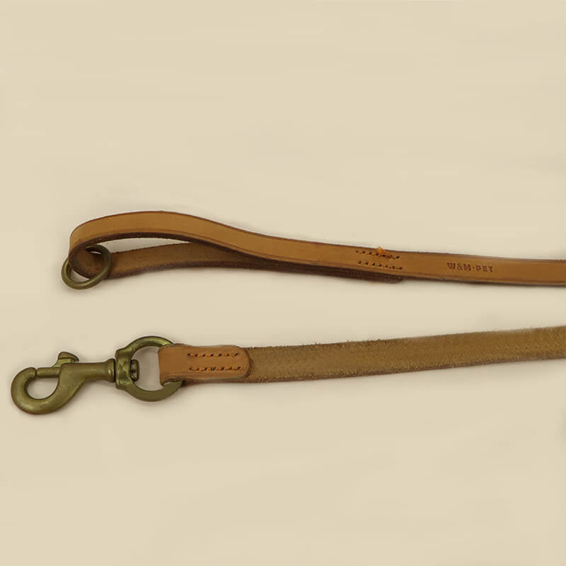 Comfortable Full - Grain Leather Dog Collar & Leash Set – Babylon Leather - Babylon LeatherBabylon LeatherLP04-Yellow