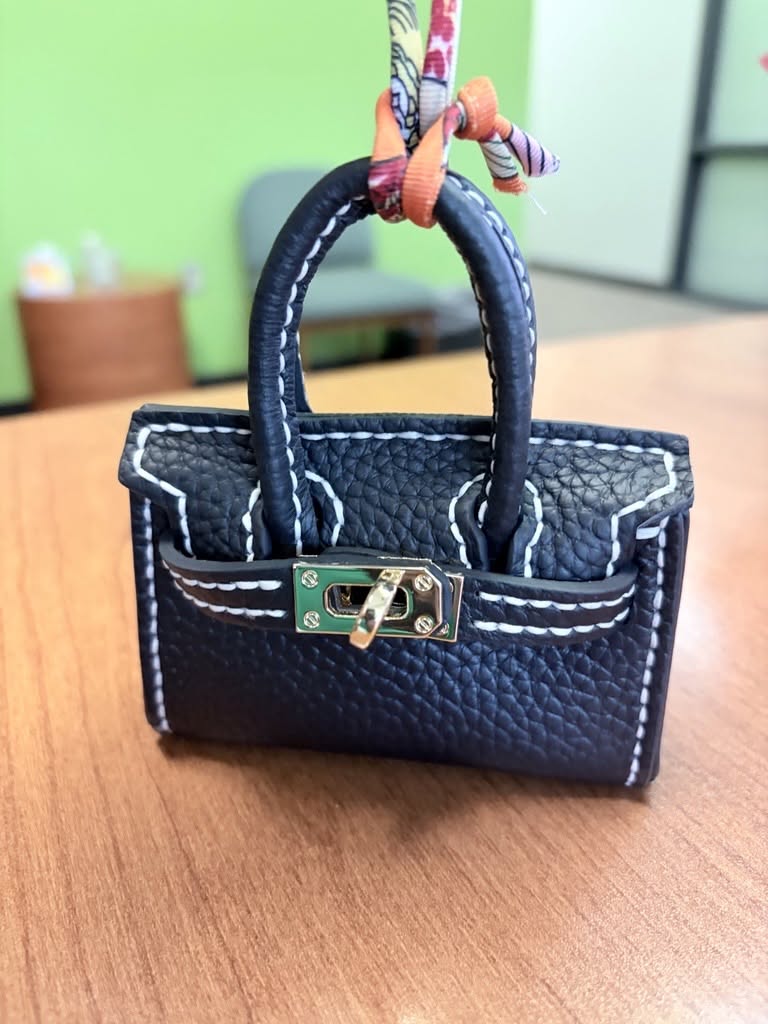 Mini Birkin-Style Bag DIY Kit Review