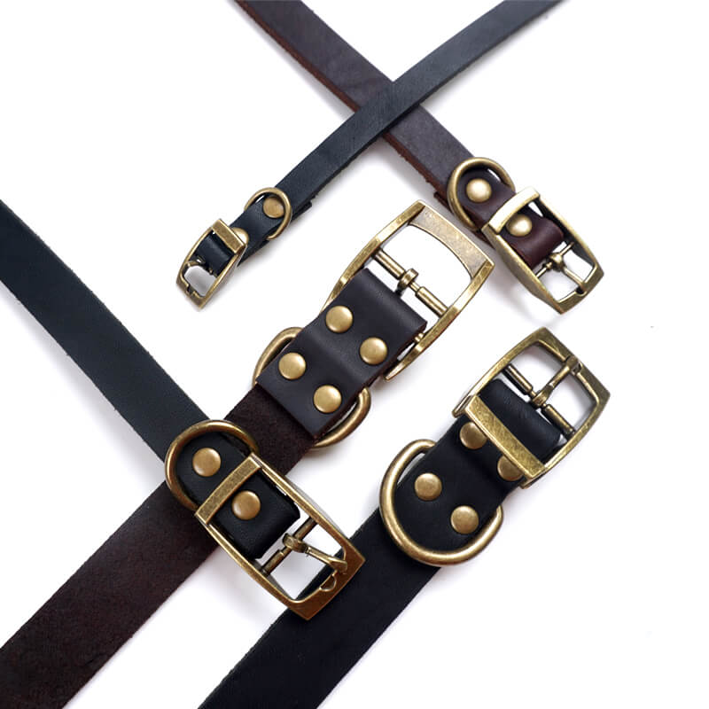 Top - Grain Leather Dog Collar with Solid Brass Hardware – Babylon Leather - Babylon LeatherBabylon LeatherLP05-Brown-S