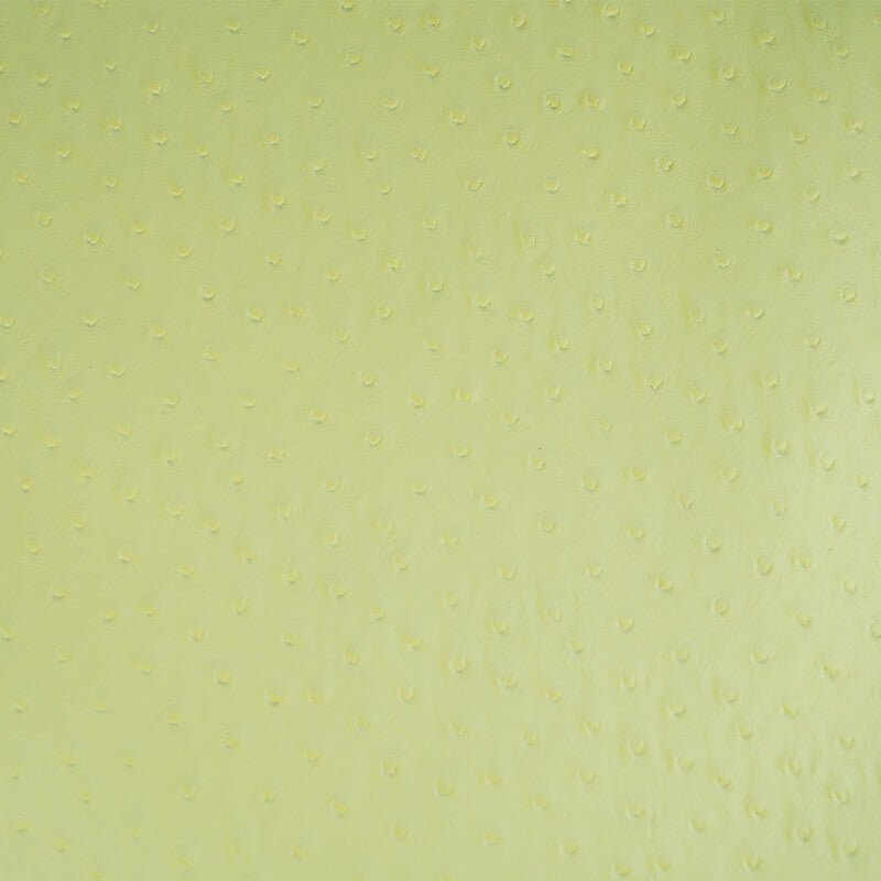 Top Grain Ostrich Embossed Leather – Babylon Leather - Babylon LeatherBabylon LeatherLT021-Yellow-1.2-1.4mm-5 sq. ft.
